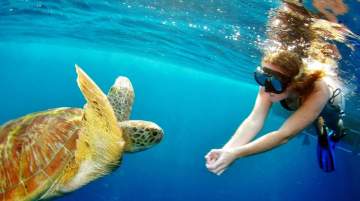 Snorkeling in Paphos