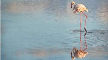 The Digital Evolution of Tourism in Larnaca Region