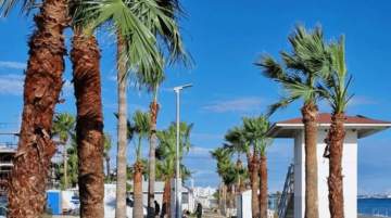 Larnaca beaches 