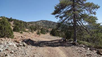 The findings indicate the mountains were not only used for hunting and gathering