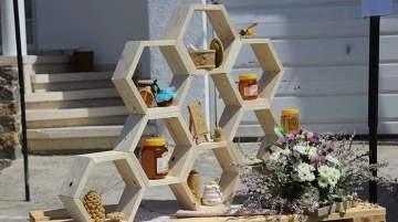 Beekeeping Festival 