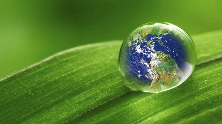 Environmental Protection and Resource Management