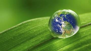 Environmental Protection and Resource Management