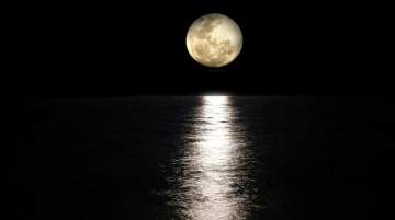 Visitors to Kourion will be able to enjoy the ruins of the site in silence, gazing at the sea and the landscape, under the moon