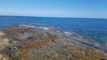 Cyprus Revenue from Tourism for February Announced
