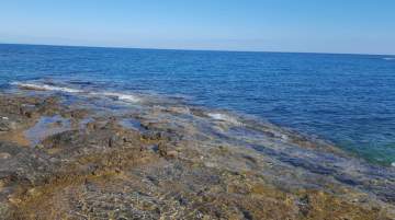Cyprus Passengers survey was not Conducted in April