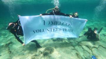 Melco Ayia Napa Clean-up