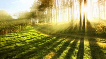 Participants will aim to capture unique nature images