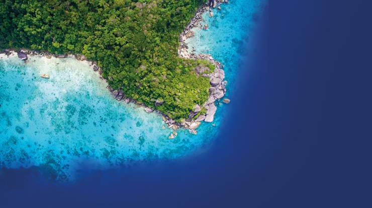 CSTI Promotes Sustainable Development