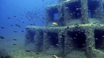 NMPA aims at protecting and conserving biodiversity
