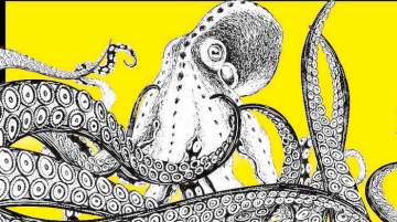 14th International Short Film Festival of Cyprus calls for entries 